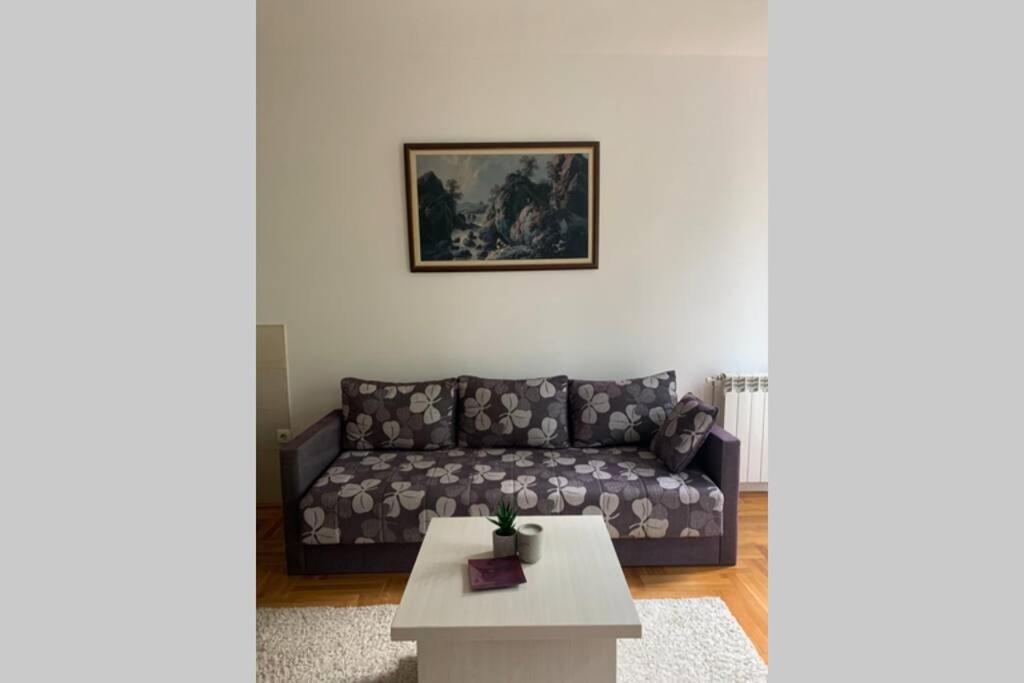 Renovated Cozy Studio 7 At Top Location - Available For Long Term Rentals Novi Sad Exterior foto